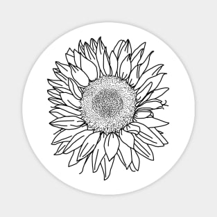 Sunflower Black Line Drawing Magnet